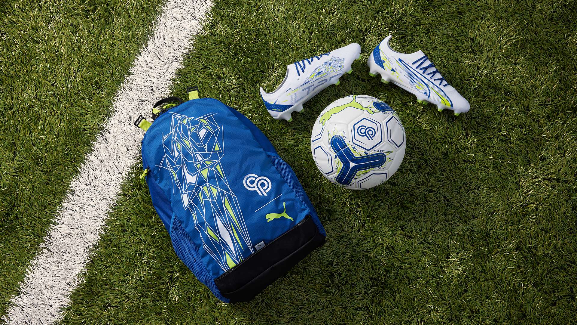 他们认为 他们认为